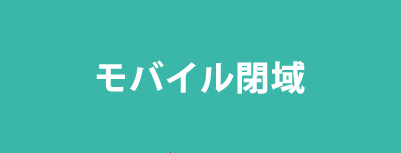 モバイル閉域網サービス